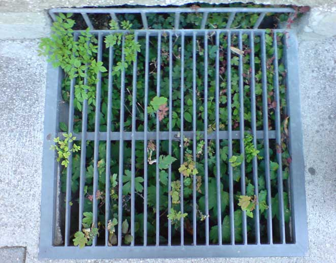 STRASSEN|GRÜN|GEFÄNGNIS, Foto von studio lot